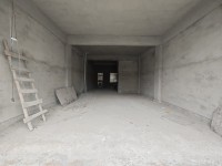 東湖商 住全新自建房